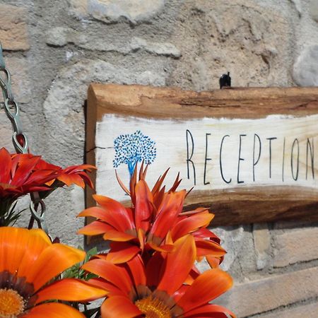 La Locanda Dell'Olmo Orvieto Kültér fotó
