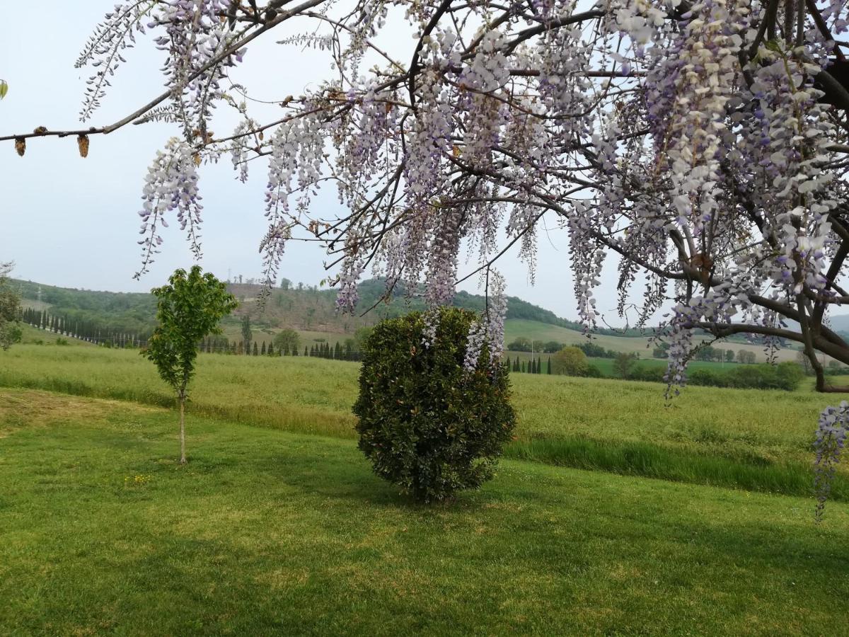 La Locanda Dell'Olmo Orvieto Kültér fotó